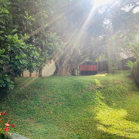 47 Alfred House - Free Pickup From Kandy City 外观 照片