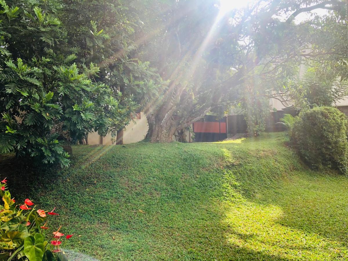 47 Alfred House - Free Pickup From Kandy City 外观 照片