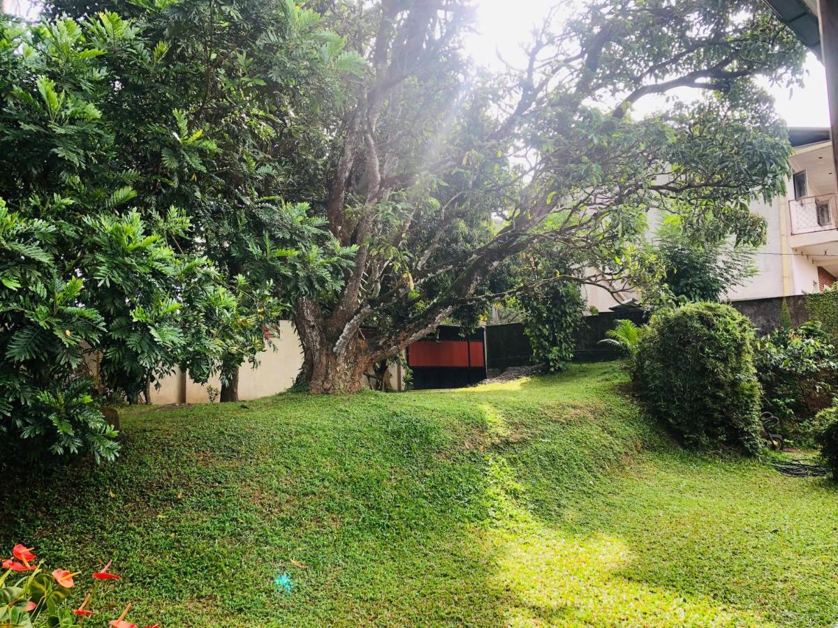 47 Alfred House - Free Pickup From Kandy City 外观 照片
