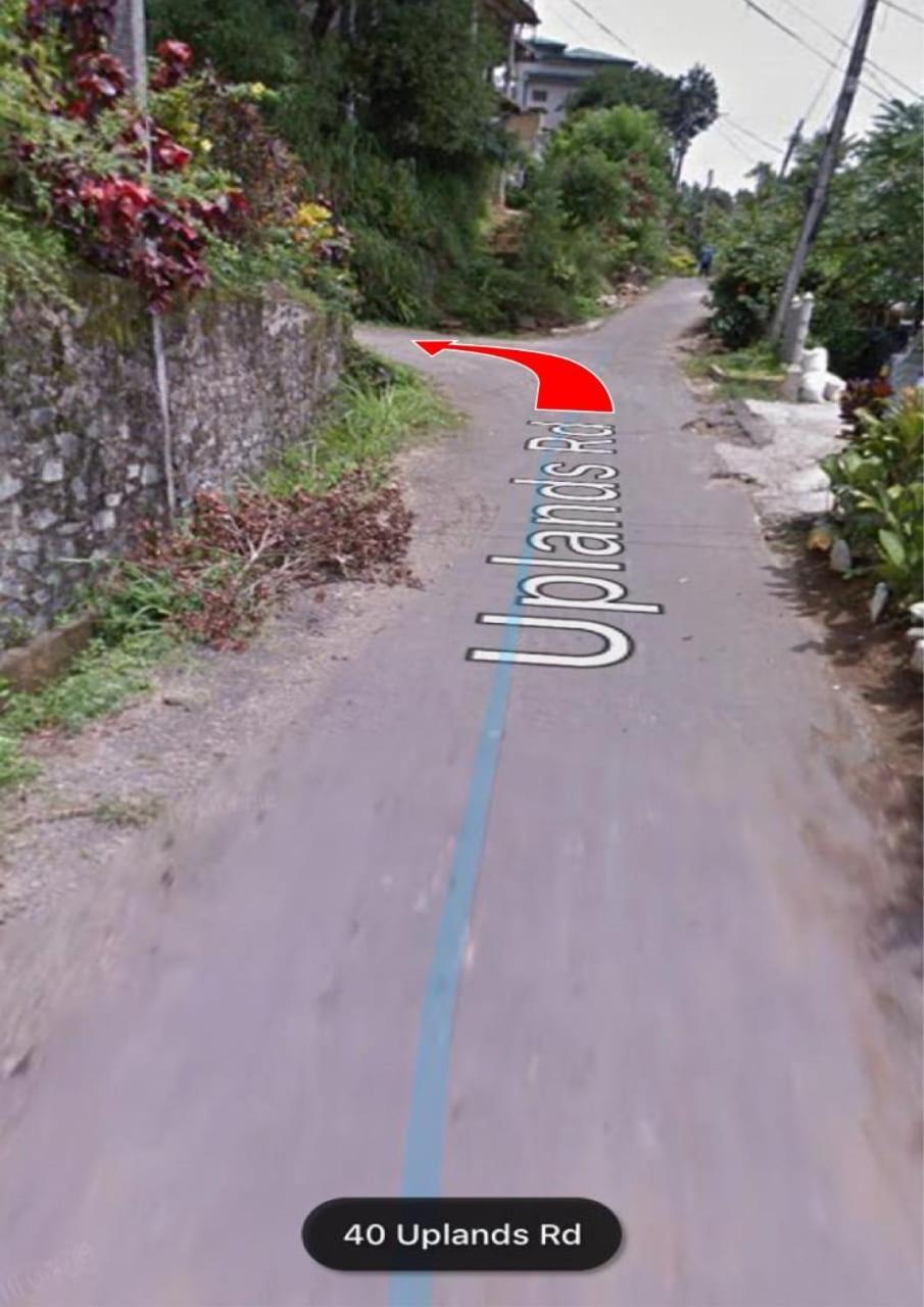 47 Alfred House - Free Pickup From Kandy City 外观 照片